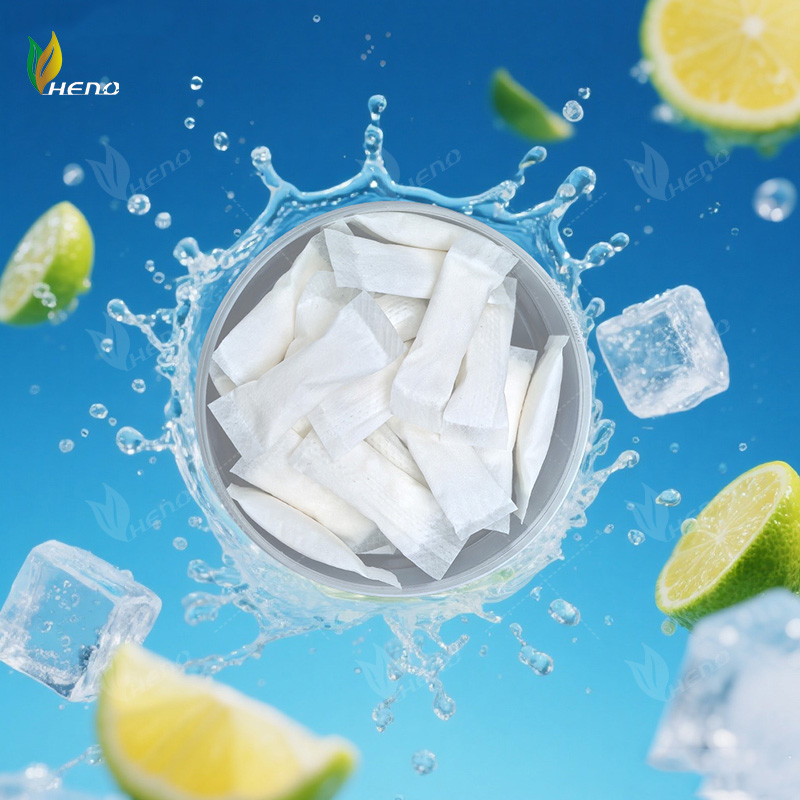 produttori professionali Bustine di nicotina da 6 mg OEM