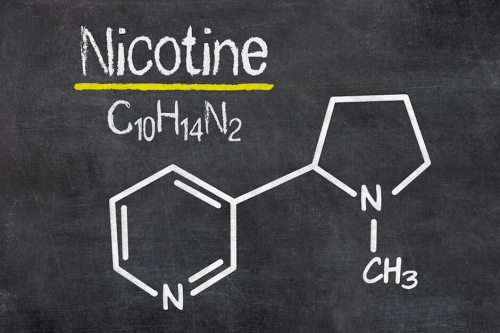 chi sintetizza chimicamente la nicotina?